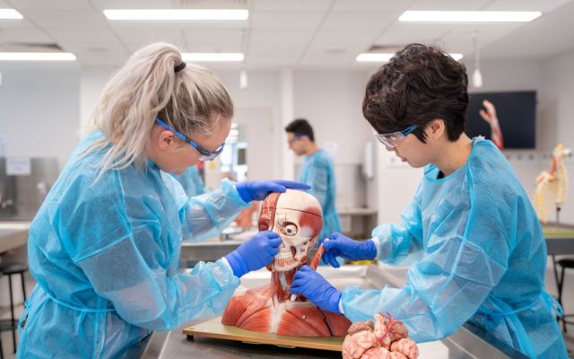 Upcoming events for students considering careers in medicine or dentistry.